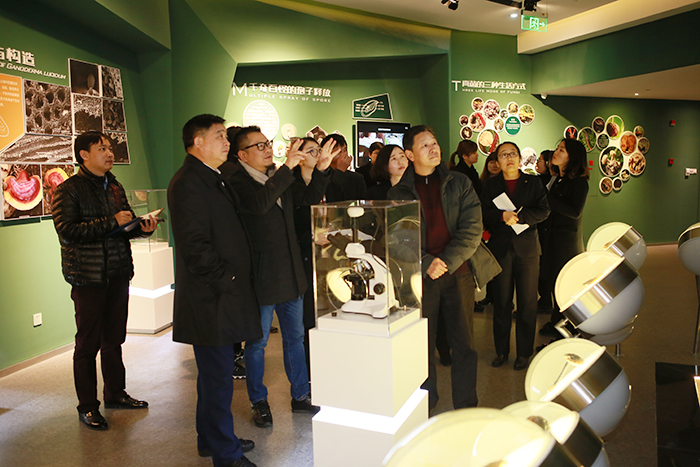 專(zhuān)題報(bào)道