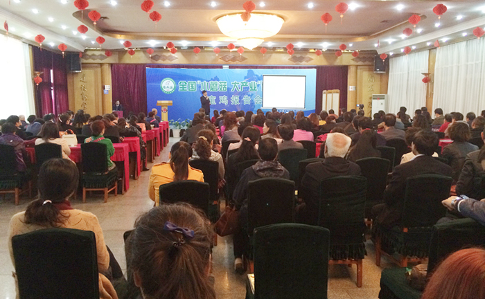 專(zhuān)題報(bào)道