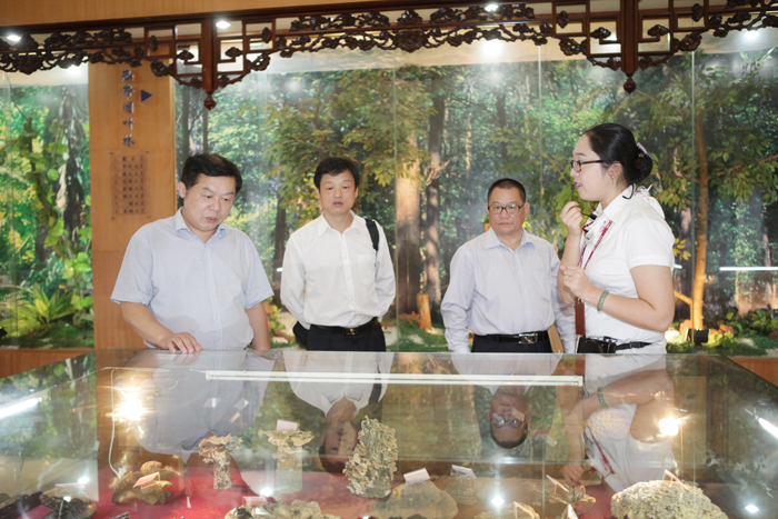 專(zhuān)題報(bào)道