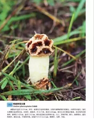 圖片關(guān)鍵詞 圖片關(guān)鍵詞