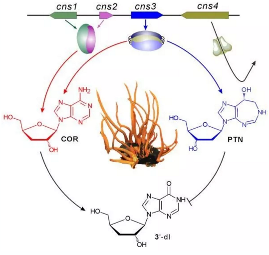 圖片關(guān)鍵詞 圖片關(guān)鍵詞
