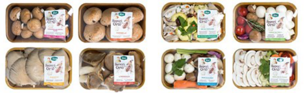 圖片關鍵詞 圖片關鍵詞