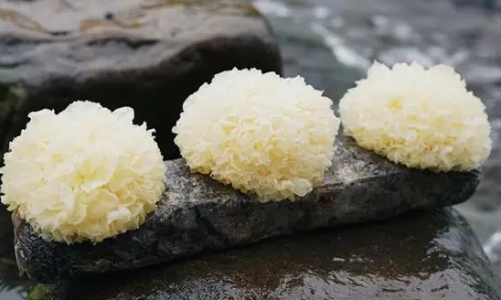 圖片關鍵詞 http://m.haoran321.com/ewebeditor/uploadfile/20180328092751720001.png