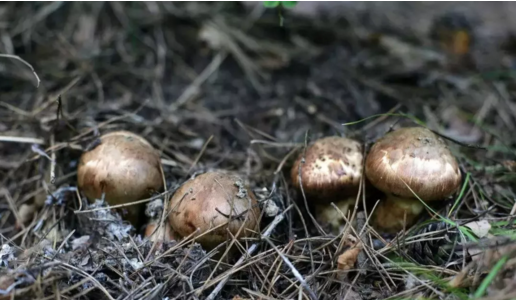 圖片關(guān)鍵詞 圖片關(guān)鍵詞