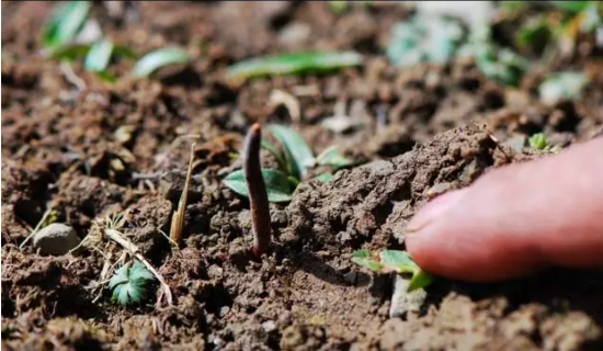 圖片關(guān)鍵詞 http://m.haoran321.com/ewebeditor/uploadfile/20180814102741148001.png
