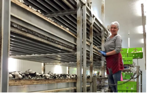 圖片關(guān)鍵詞 圖片關(guān)鍵詞