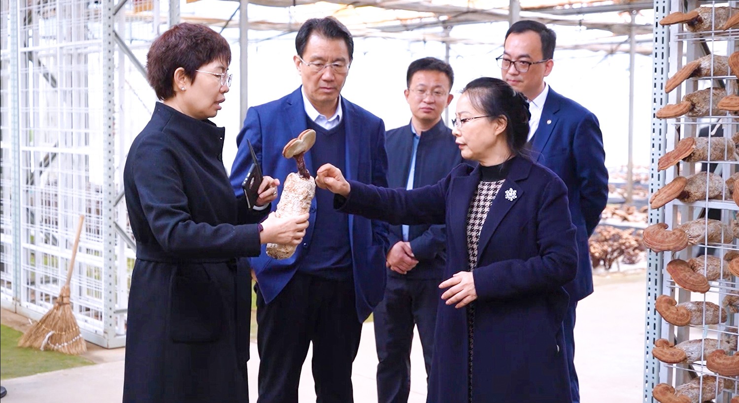 1712626750808004.jpg 1500.jpg