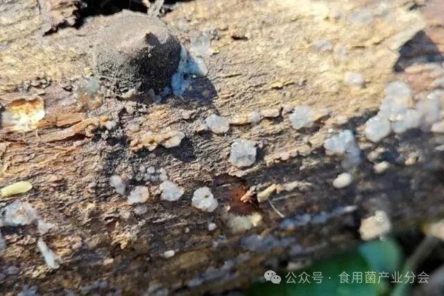 圖片關鍵詞 圖片關鍵詞