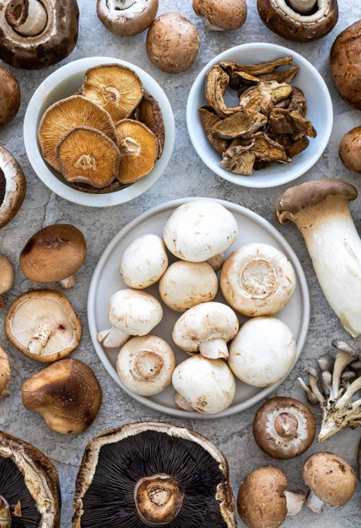 圖片關鍵詞 圖片關鍵詞