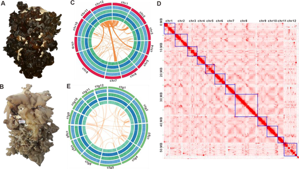 圖片關鍵詞 圖片關鍵詞