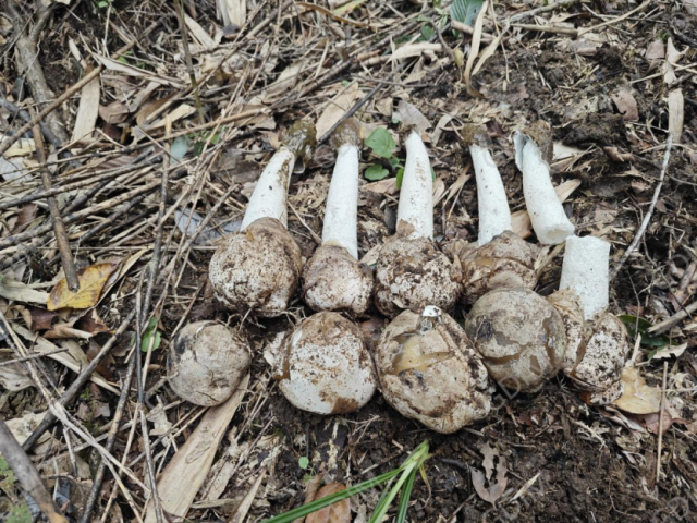 1762481733782032.png 4.png