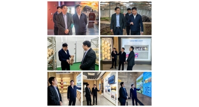 專(zhuān)題報(bào)道