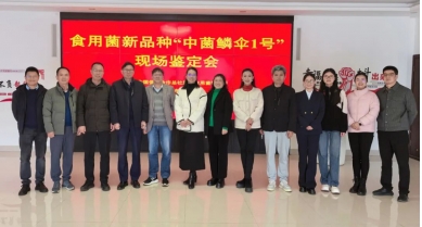 行業(yè)動態(tài)